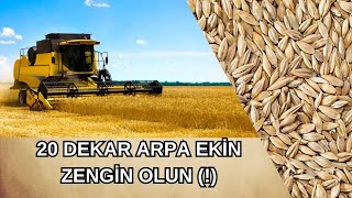 20 DEKAR ARPA NE KAZANDIRIR? || TÜM GİDER VE GELİRİ TEK TEK HESAPLADIK || 2023