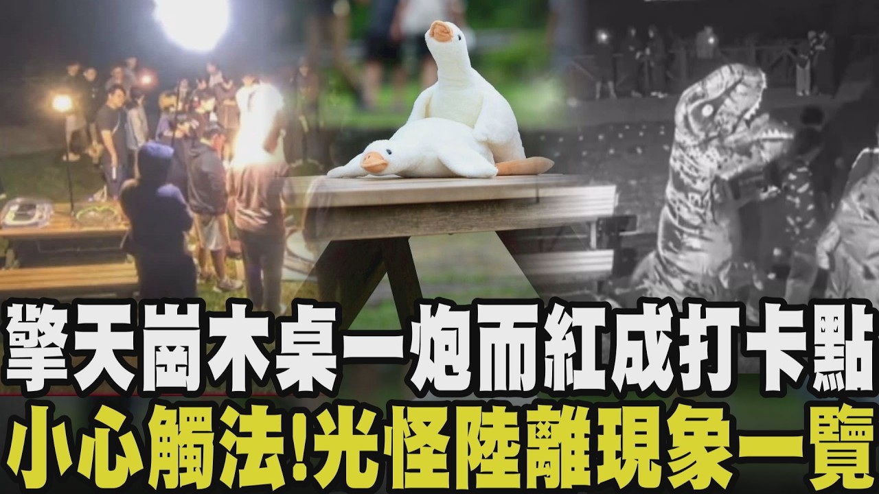 擎天崗亂象？當事野戰桌成打卡名點 有人高舉「柯文哲清清白白」布條.有人拍婚紗.還有人用大白鵝交疊還原現場 Z世代與α世代強勢來襲 改變社會樣貌｜【話題懶人包】｜TVBS新聞 @TVBSNEWS01