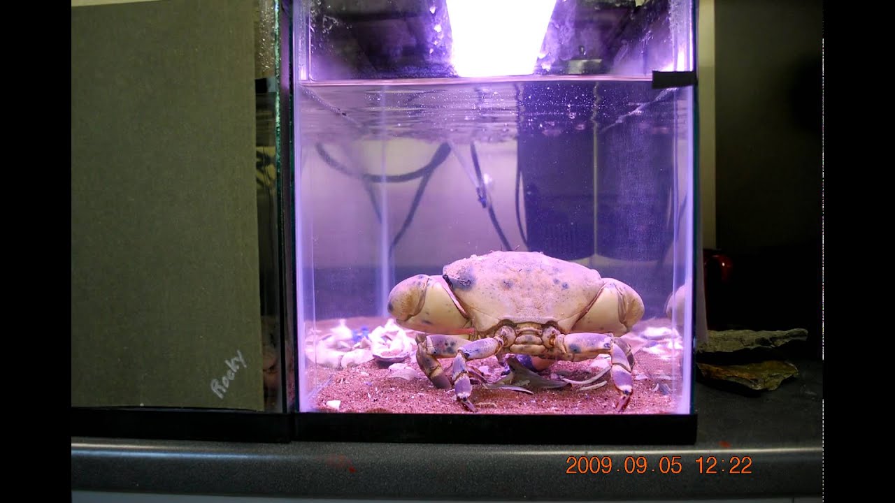 Felippe takes on the Yankees, round 1