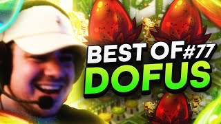 IL TROUVE LA RECETTE DU DOFUS VULBIS SUR TEMPORIS 5  - BEST OF DOFUS 77