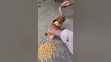 This is a handy homemade tool to separate corn kernels from the stalks very easily.#creative #shorts