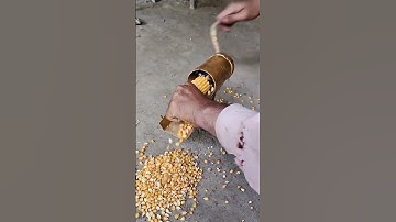 This is a handy homemade tool to separate corn kernels from the stalks very easily.#creative #shorts