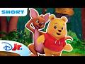 Kanga teaches Pooh Bear how to play a game of I, Spy 🦘❤️| Playdate with Winnie the Pooh |@disneyjr