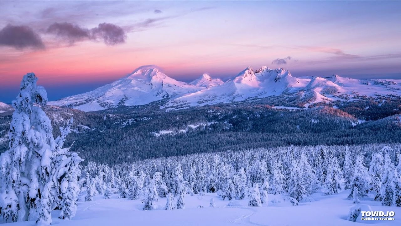 022226CSolum SettingTheStandard Dan1 1 20