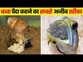 बच्चा पैदा करने का सबसे अजीब तरीका | Most Unique Ways For Animals To Give Birth