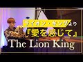 【ライオンキング】より『愛を感じて』🦁/Can You Feel the Love Tonight(From The Lion King)