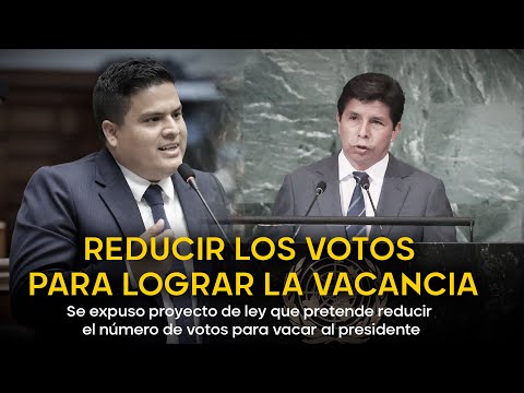 Vacancia presidencial: Se expuso proyecto de ley que pretende reducir el número de votos