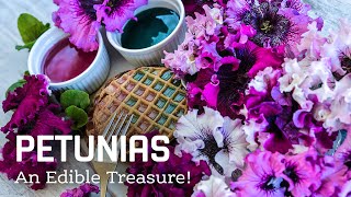 Petunias: The History of an Edible Treasure