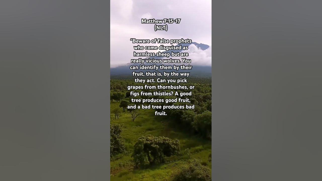 Beware Of False Prophets Matthew 7 15 17 NLT Inspiring beware-of-false-prophets-matthew-7-15-17-nlt-inspiring