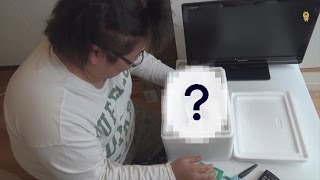 【開封動画】 恭ちゃんママからの誕生日祝いが届いた