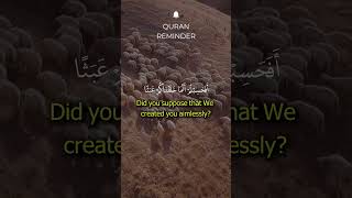 Quran Reminder  Surah Al Muminoon 115