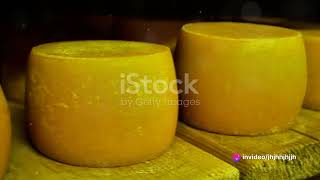 The Cheesy Tale Of Pecorino Romano