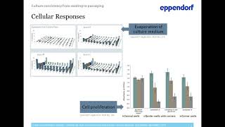 From cell seeding to analysis - Getting the best out of your cell-based assay