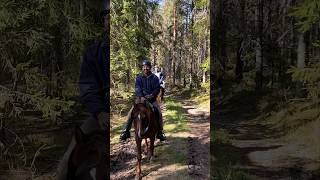 Travel Diaries #14 : Stockholm & Oslo welcoming us warmly #travel #vlog #standuptour