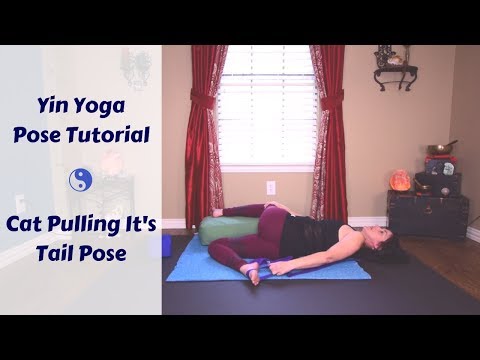 Cat Pulling Its Tail Tutorial | Yin Yoga Pose Modifications & Props