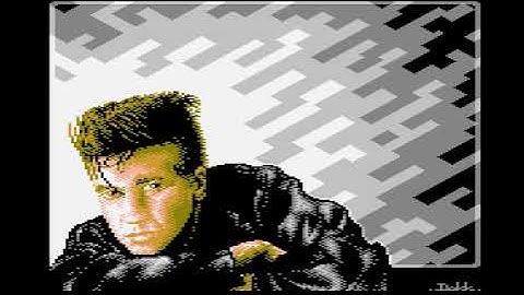 C64 Demo Disk by Ash & Dave,Ian & Mic,Ikari,Reptilia Design 1988