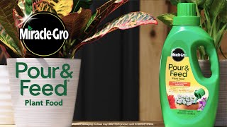 How to Use Miracle-Gro® Pour & Feed Plant Food by Miracle-Gro 5,562 views 2 years ago 34 seconds