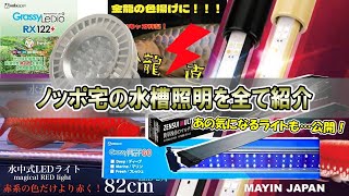 我が家の大型水槽の照明を全て紹介！購入前の参考に・・・