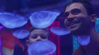 Jellies EvergreenTickets 15