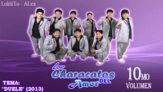 Miniatura del video "♪Characatos del amor▶Duele★Vol 10•primicia 2013 ♪αleхαɴder мedιɴα♪"