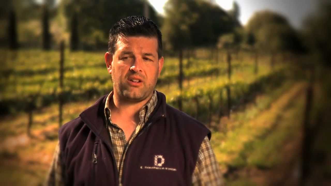 Cellar Angels Presents: C.Donatiello