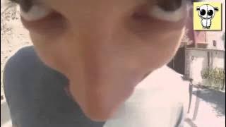 El Chombo - Chacarron Macarron (FAN VIDEO)