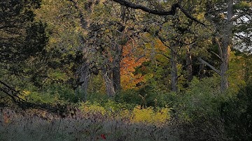 what if it all works out - Rebecca Mardal & Sebastian Jautschus