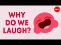 The science of laughter  sasha winkler