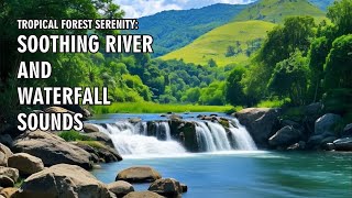 Tropical Forest Serenity Soothing River And Waterfall Sounds