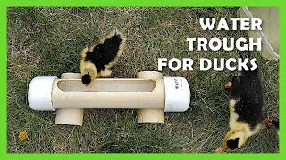 Low Mess Water Trough for Duck Brooder