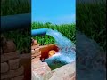 Tube Well Wali Thandak 💦🌾 | Gaon Ki Zindagi