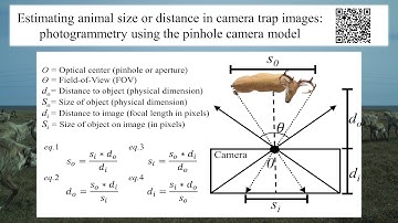 Estimating animal size or distance in camera trap images, TWS 2021