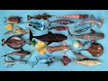 Ikan laut ikan kotak kuning blue tang pasifik sauri ikan batu salmon hiu martil trilobita