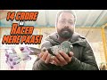 14 crore ka pigeon  best racing pigeons  aman prabhakar