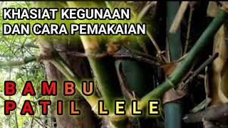 BENEFITS AND USES OF BAMBOO PATIL LELE