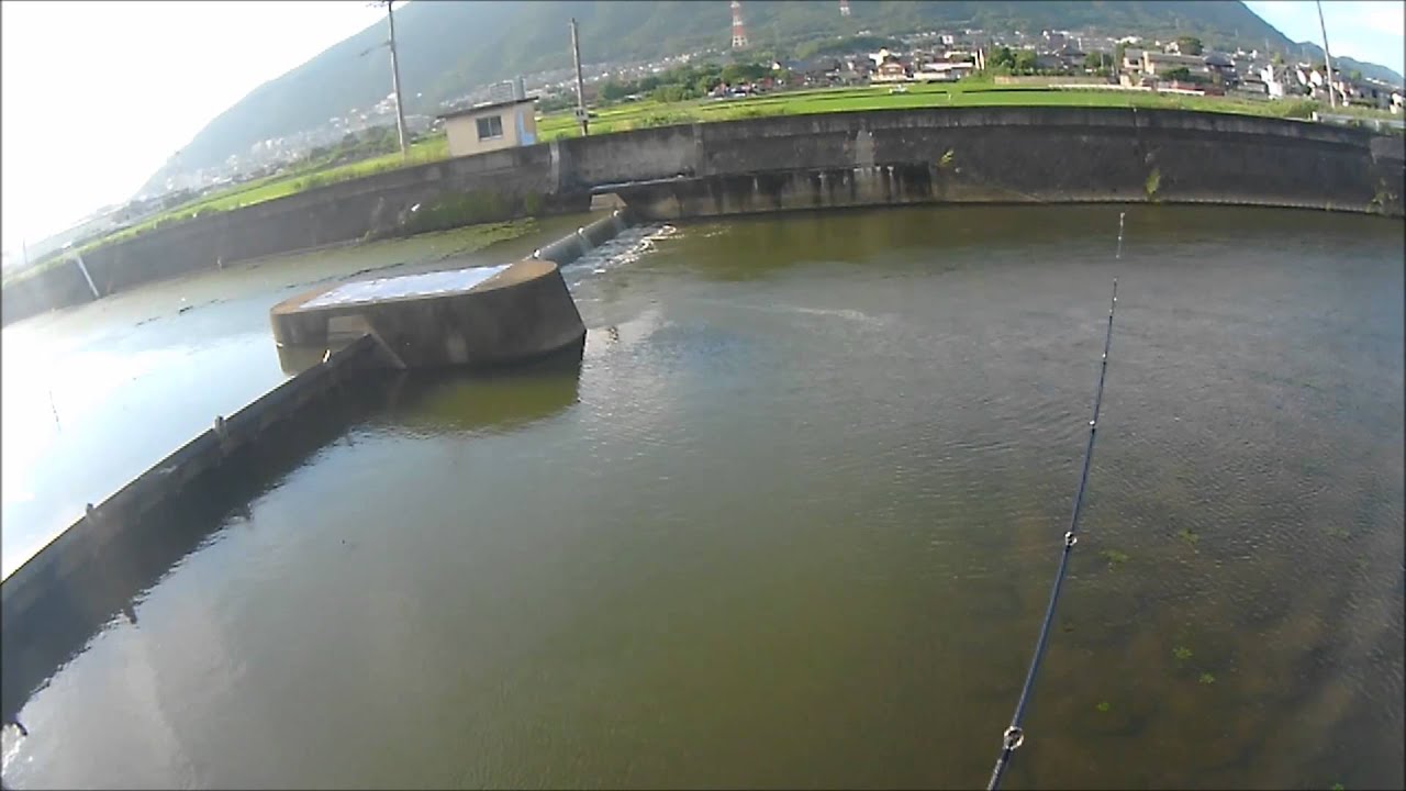 15 6 26 27 福岡県 おかっぱりバス釣り デカイんが出た の巻 Youtube