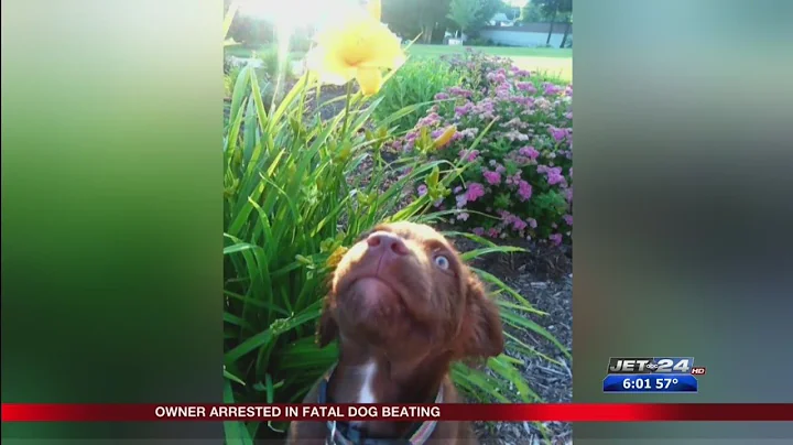 Pet owner arrested for allegedly beating her own service dog to death