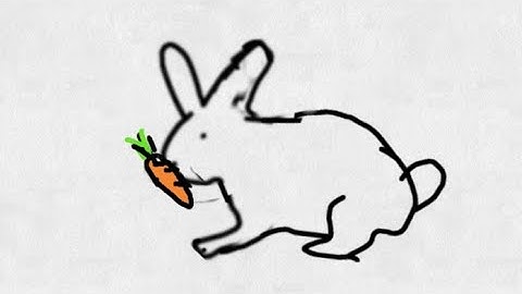 Animación de Conejo #conejo #animación