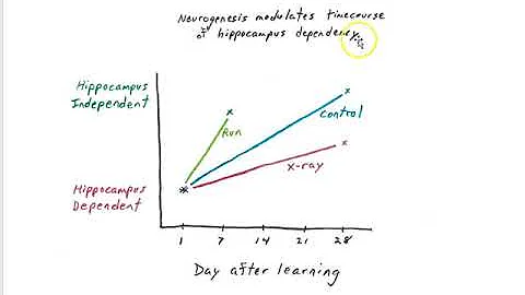 System consolidation part 9 neurogenesis 2019