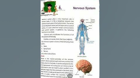 Science class-5 ch-4 part-1( Nervous system)