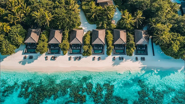 Good Vibes 24/7 🌴 Tropical Chill House Livestream