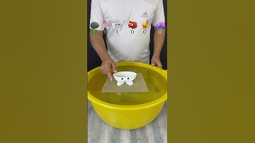 TRY TO GUESS HOW MANY TISSUE PAPER IT TOOKS! what will happend next ? #satisfying #watertub #tube