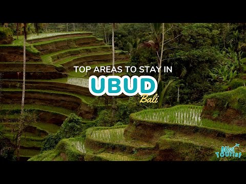 Reproductor de vídeo de YouTube