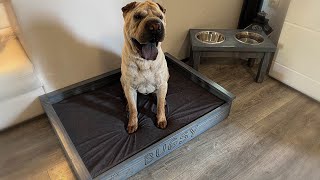 How To Make Modern Dog Bed and Bowl Stand