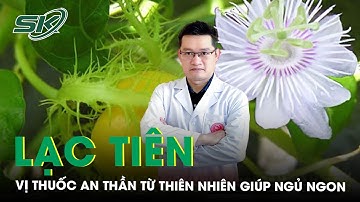 Cây lạc tiên vị thuốc an thần từ thiên nhiên giúp bạn ngủ ngon mỗi đêm | SKĐS