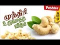 Cashew Nut processing Factory | முந்திரி உருவாகும் விதம் | Cashew Industrial video