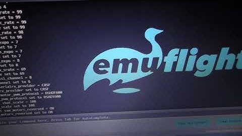 confirming emuflight firmware flash n dump