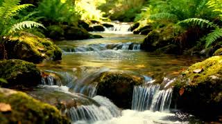 Soothing River Sounds in Lush Woodland & Relaxing Birds Singing for Ultimate Relaxation
