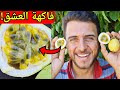 لهذا السبب يجب زراعة فاكهة العاطفة في المنزل ميسفلورا Passion Fruit Cultivation 