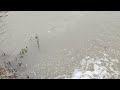water Falls